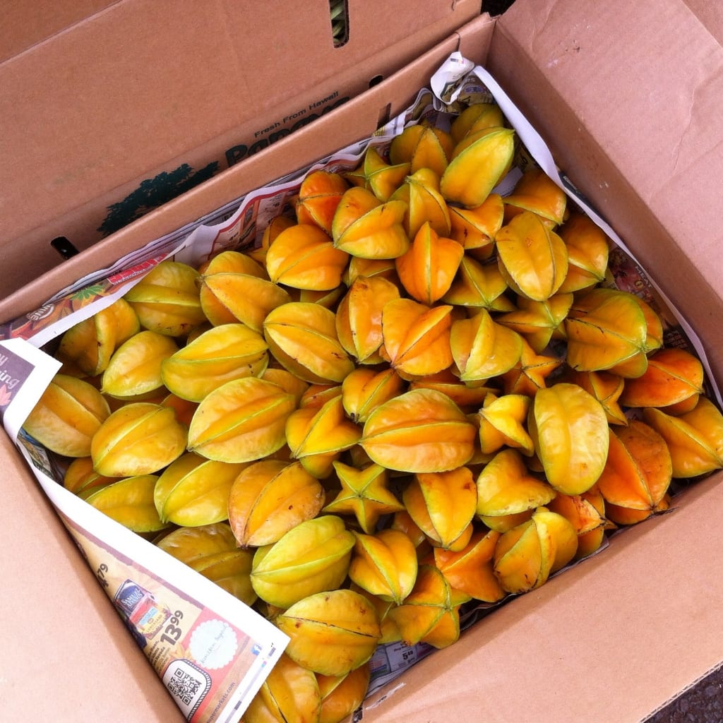 Moving to Hawaii: star fruit, Kauai