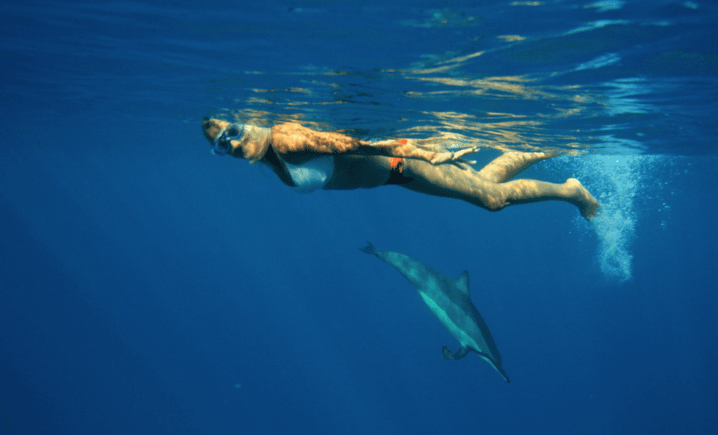 Hawaii swimming with wild dolphins