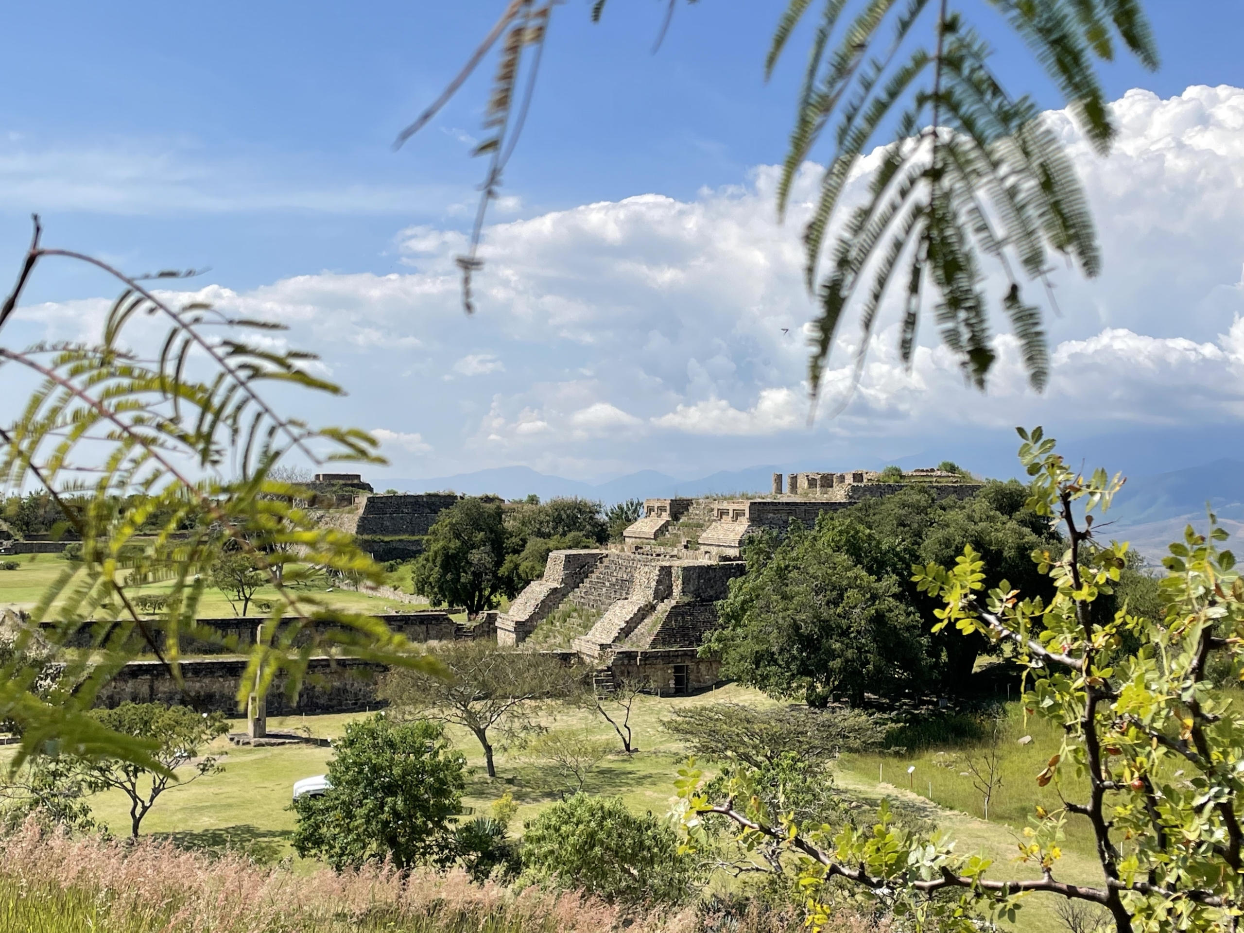 Monte Albán ruins are an archaeological marvel, showcasing the ancient Zapotec civilization's remarkable achievements in architecture, art, and urban planning.